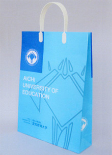 ��񂰑܁i2008.06�j